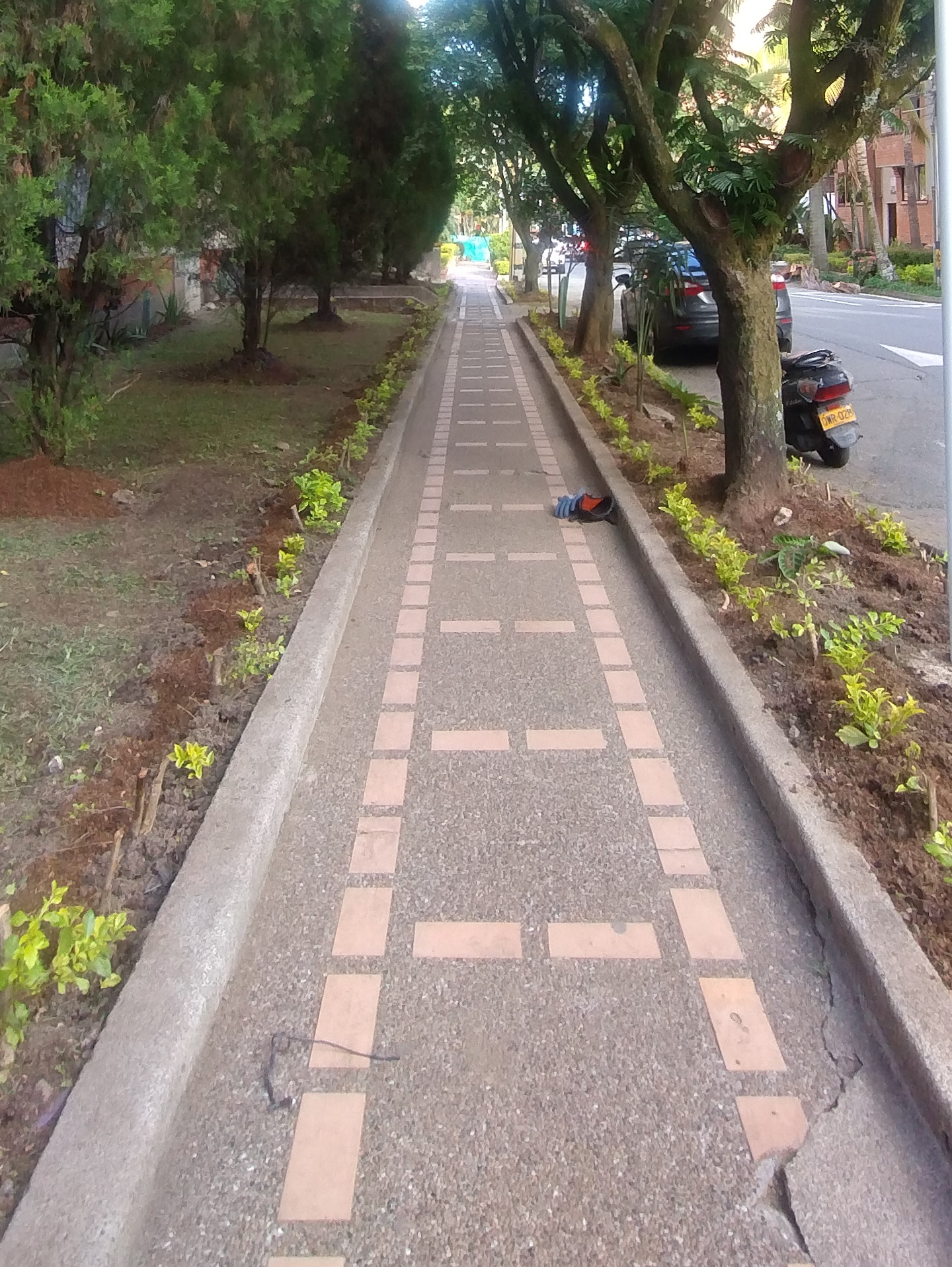 Jardinero profesional con guadaña